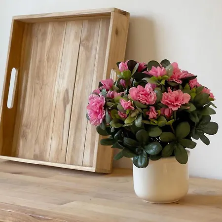 Ferienhaus James Casa vacanze *